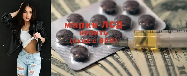 гашик Богданович
