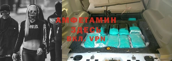 гашик Богданович