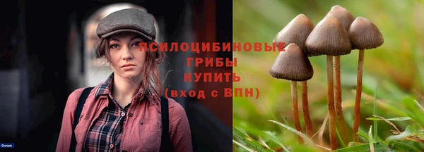 гашик Богданович