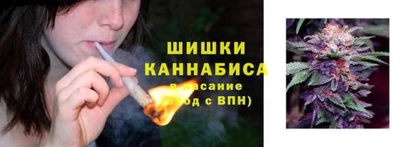 mdpv Богородицк