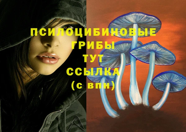 кокаин перу Тайга
