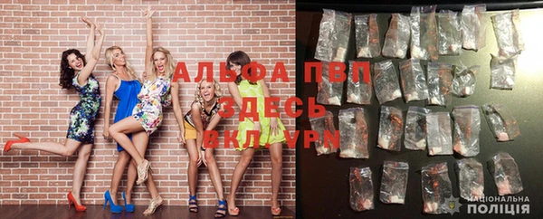 mdpv Богородицк