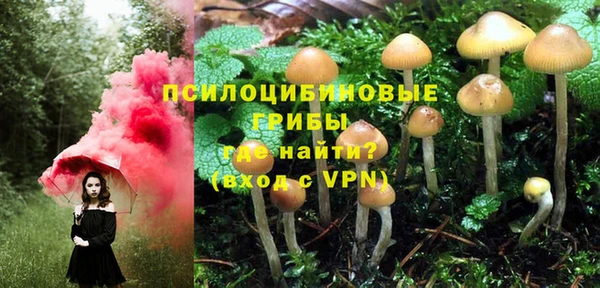 меф Тавда