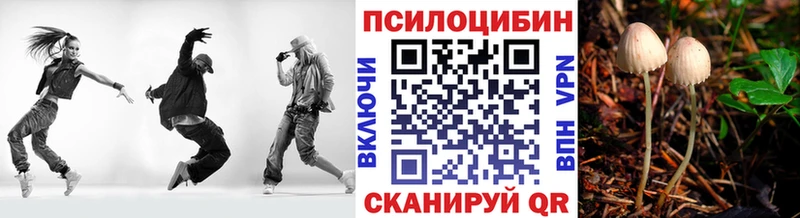 Псилоцибиновые грибы Psilocybine cubensis  Яранск 